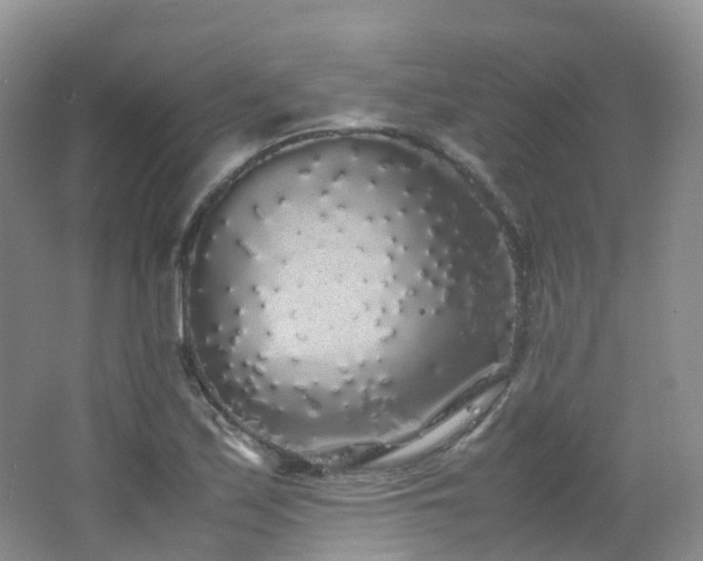 X0000062801171200512221356