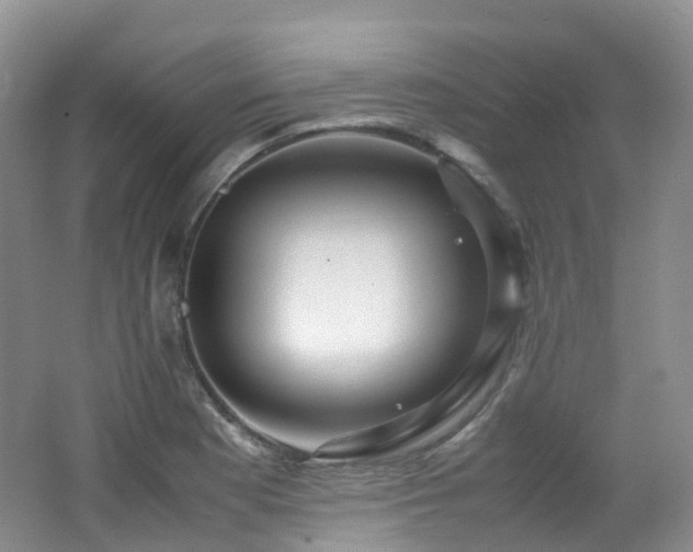 X0000062801177200512221356