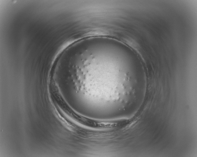 X0000062801179200512221356