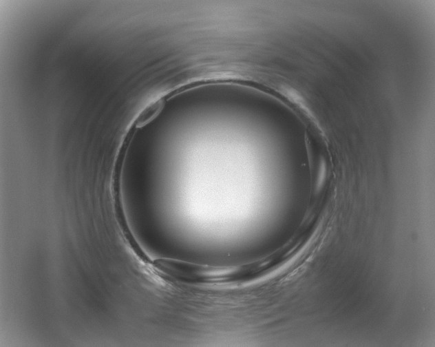 X0000062801181200512221356
