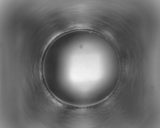 X0000062801182200512221356