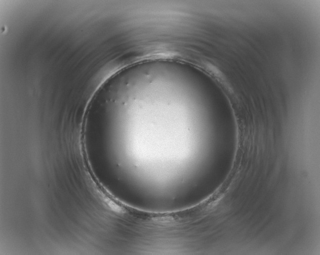 X0000062801186200512221356