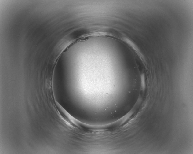 X0000062801193200512221356