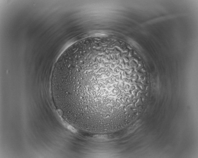X0000062801194200512221356