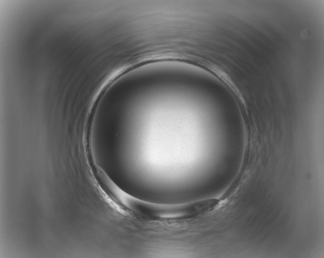 X0000062801197200512221356