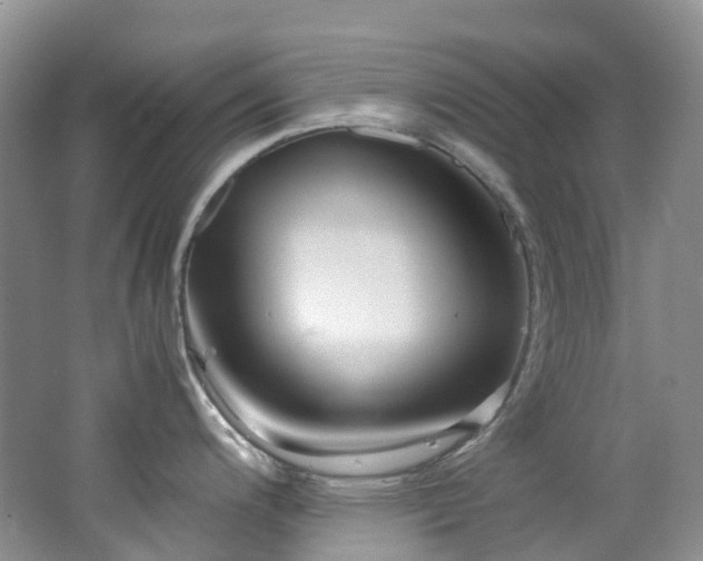 X0000062801200200512221356