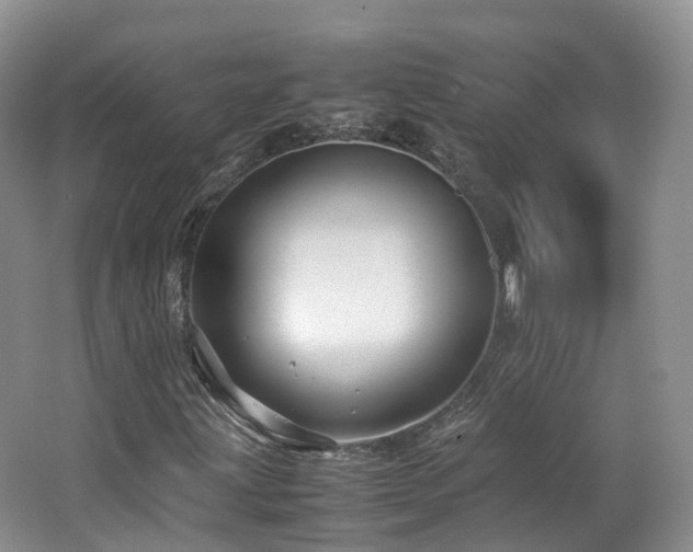 X0000062801203200512221355