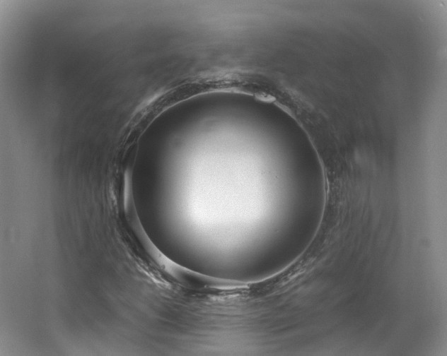 X0000062801206200512221355