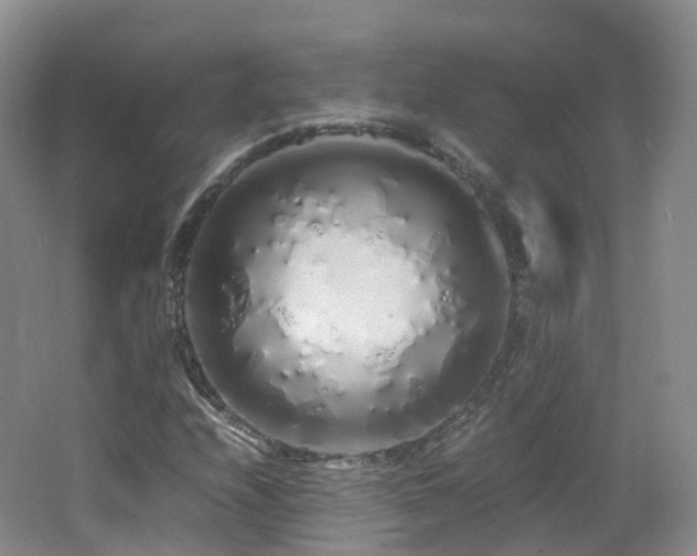 X0000062801208200512221355