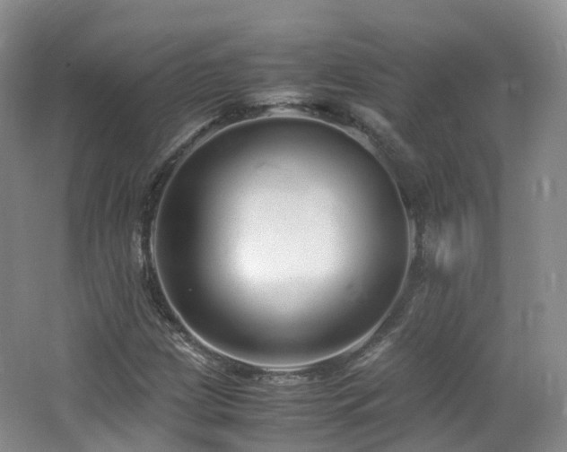 X0000062801209200512221355