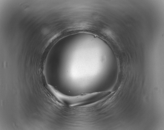 X0000062801210200512221355