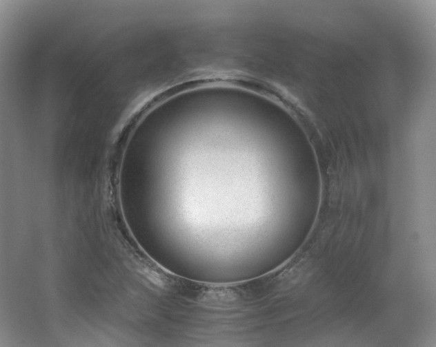 X0000062801215200512221355