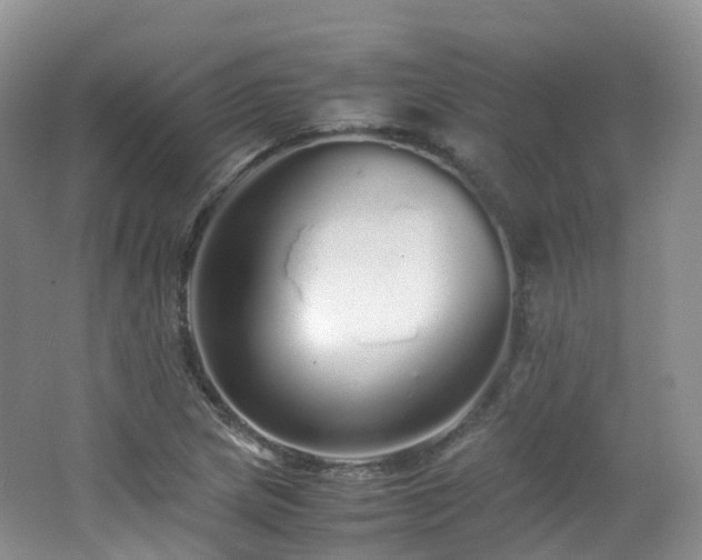 X0000062801217200512221355