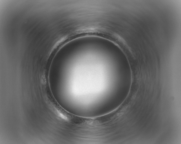 X0000062801218200512221355