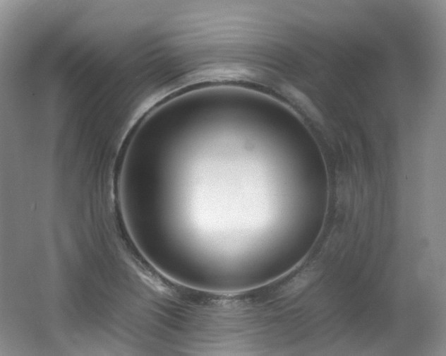 X0000062801226200512221355