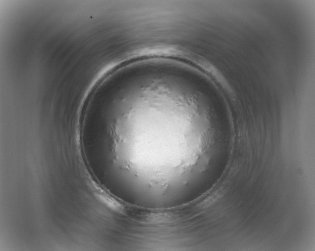 X0000062801232200512221355