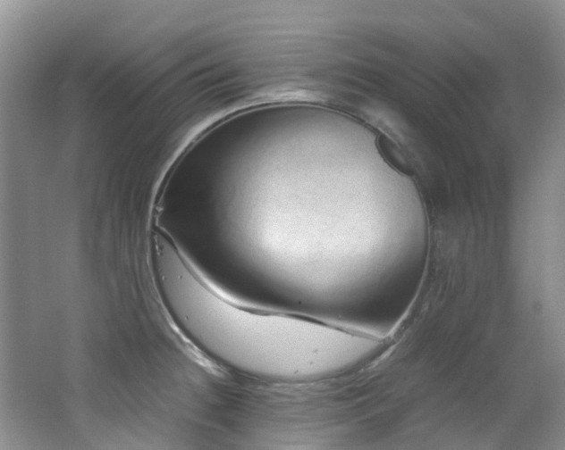 X0000062801236200512221355