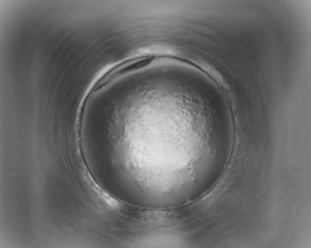 X0000062801248200512221356