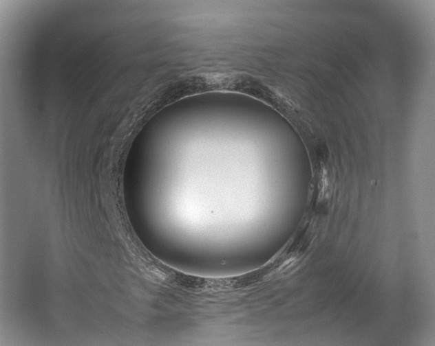X0000062801249200512221355