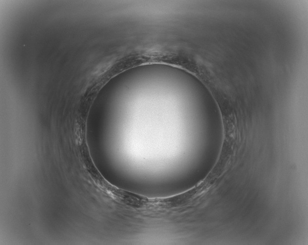 X0000062801253200512221355