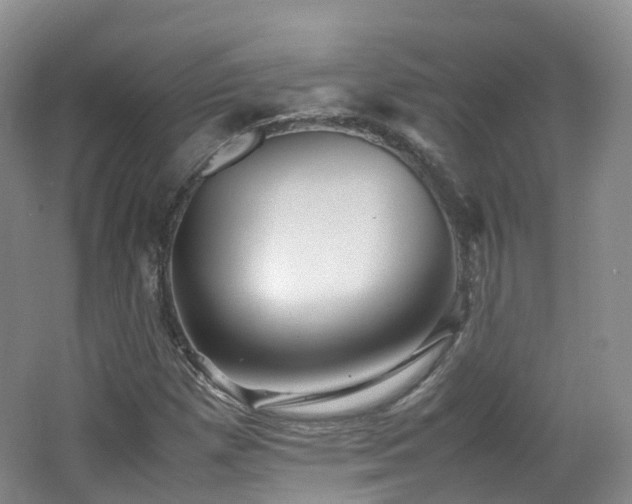 X0000062801257200512221355