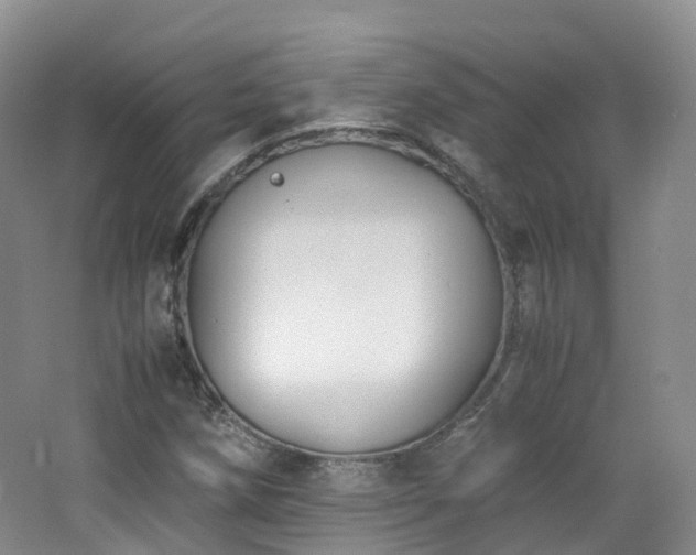X0000062801258200512221355