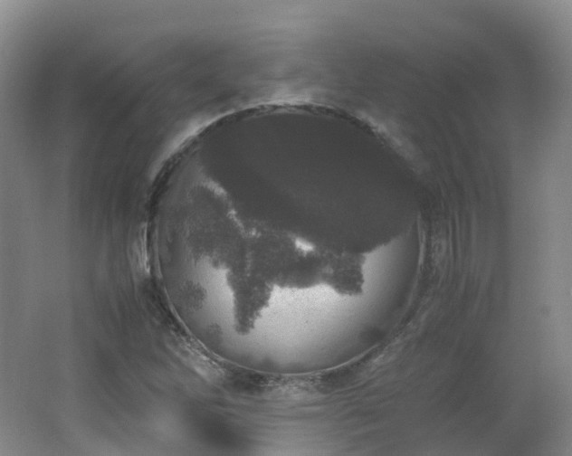 X0000062801262200512221355