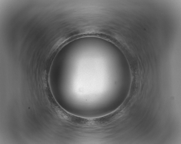 X0000062801265200512221355