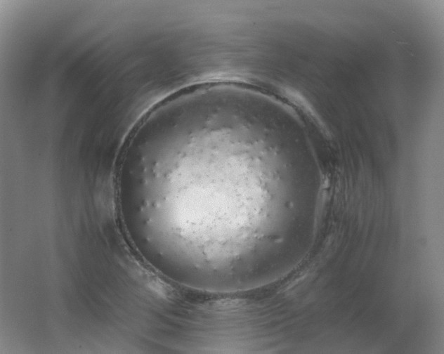 X0000062801268200512221354