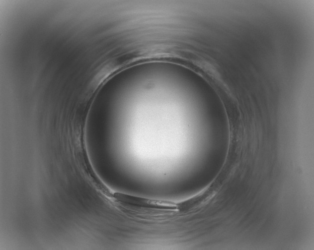 X0000062801273200512221354