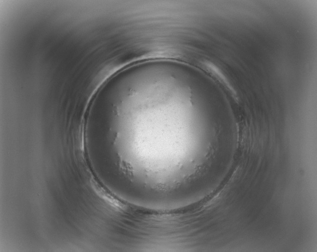 X0000062801276200512221354