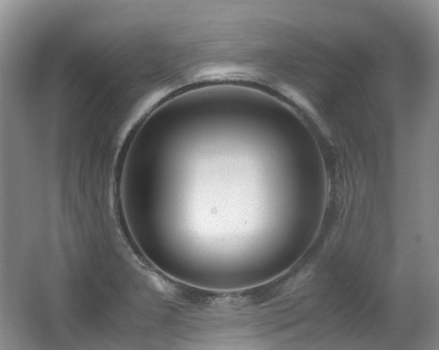 X0000062801277200512221354
