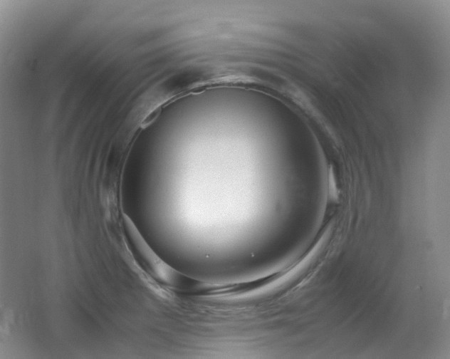 X0000062801281200512221354