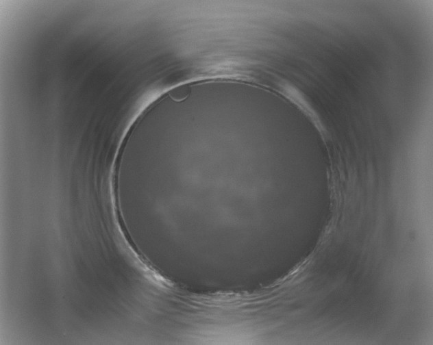 X0000062801291200512221354