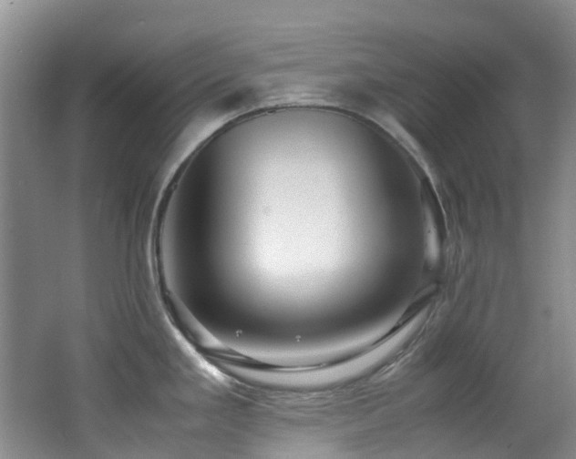 X0000062801293200512221354
