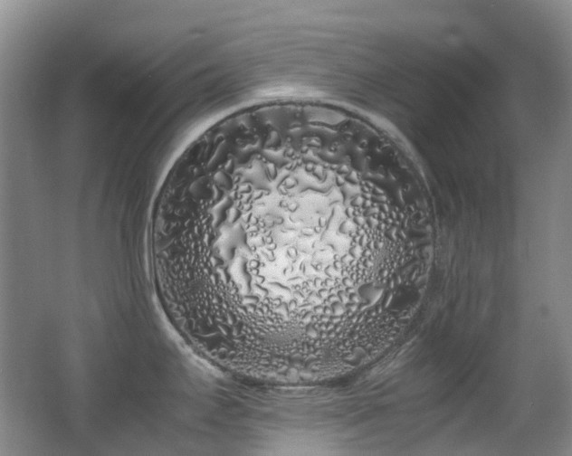 X0000062801295200512221354