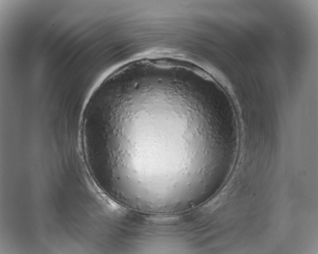 X0000062801296200512221354