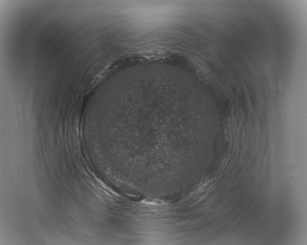 X0000062801298200512221353