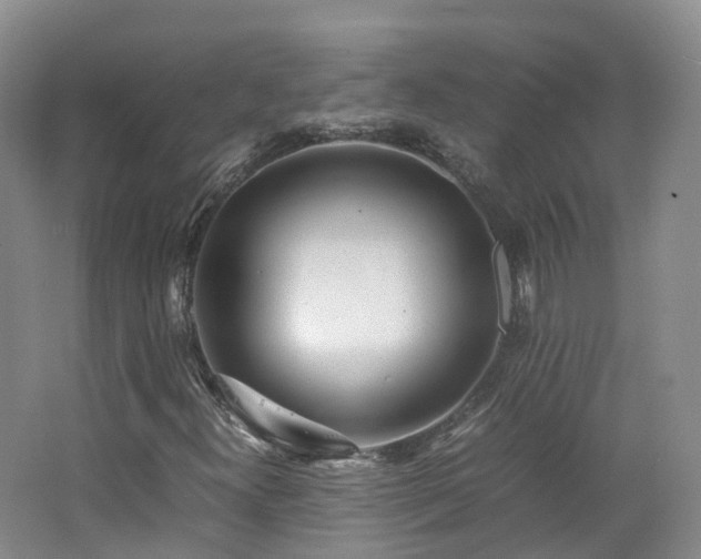 X0000062801300200512221353
