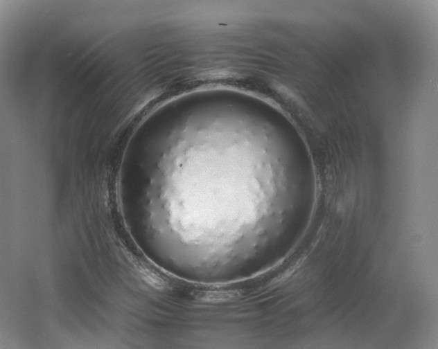 X0000062801305200512221353