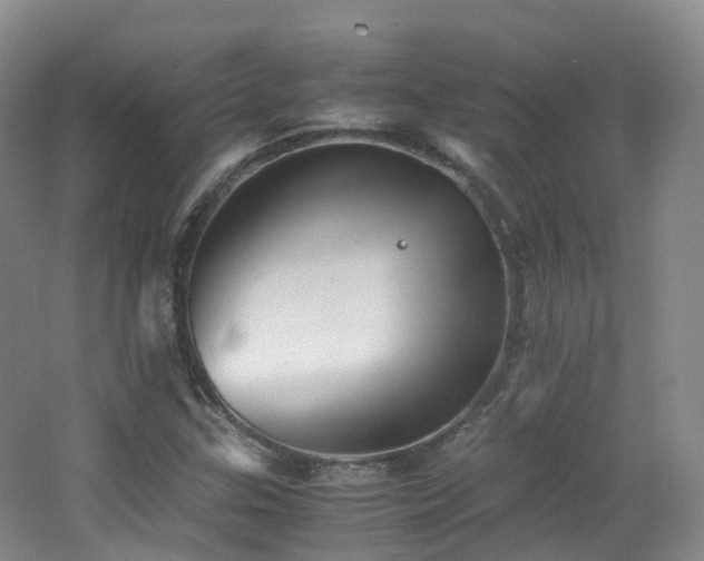 X0000062801307200512221353