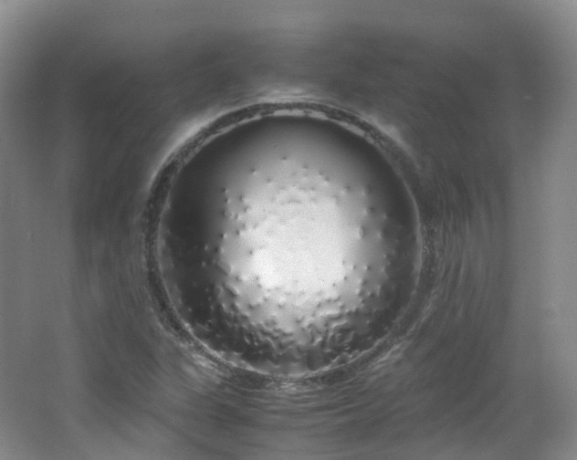 X0000062801311200512221353