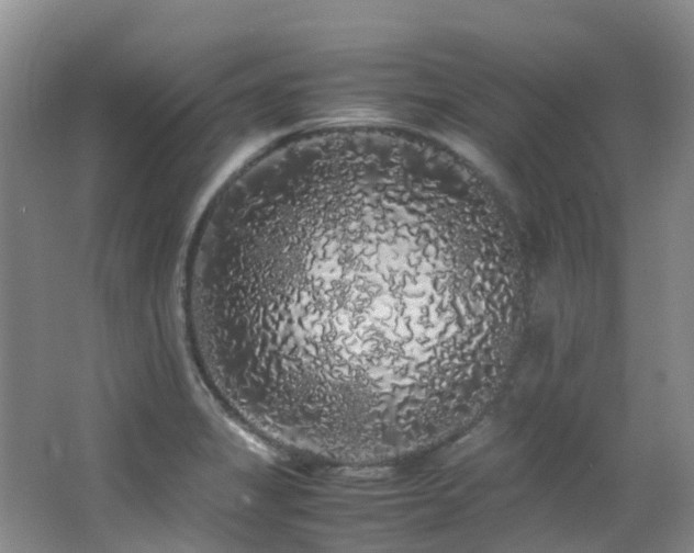 X0000062801325200512221354