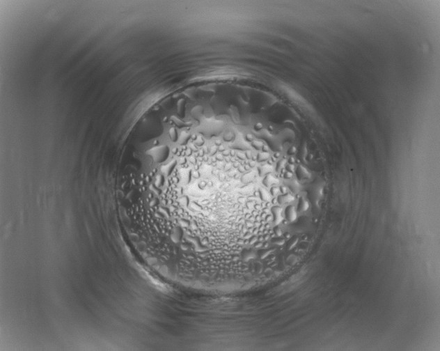 X0000062801329200512221354