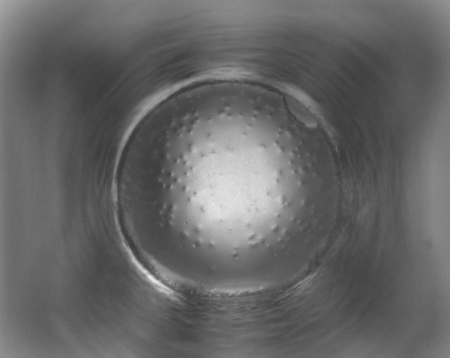 X0000062801335200512221354