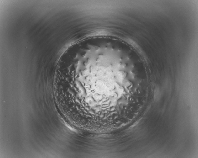 X0000062801337200512221354
