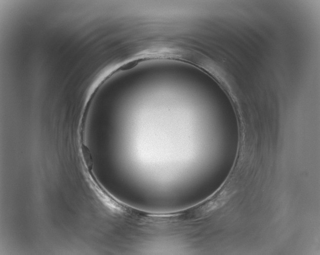 X0000062801344200512221354