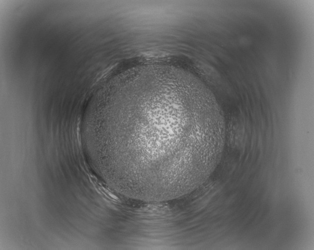 X0000062801346200512221353