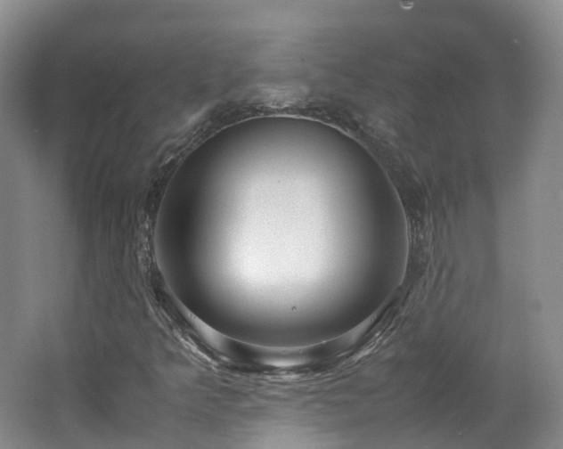 X0000062801349200512221353