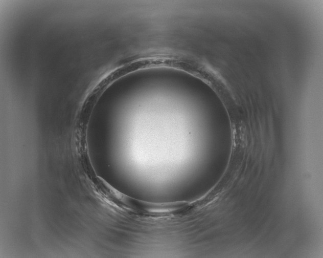 X0000062801352200512221353